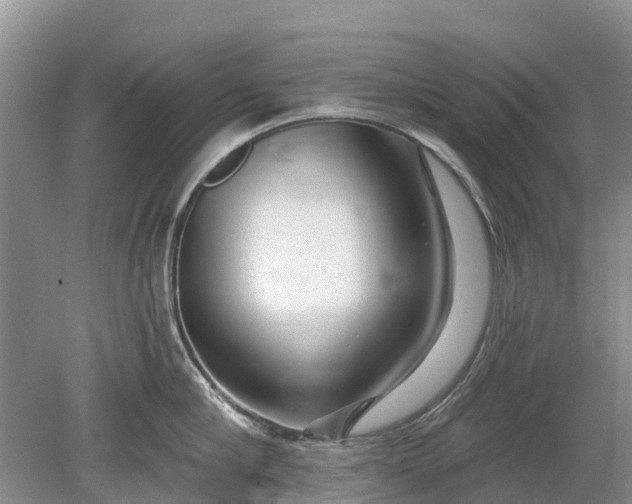 X0000078890910200611271349