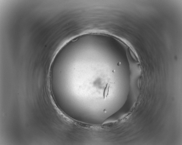 X0000078890911200611271349