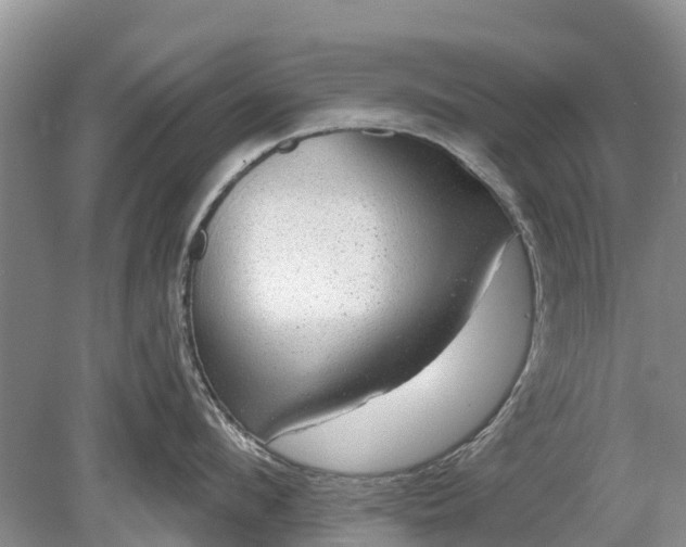 X0000078890912200611271349