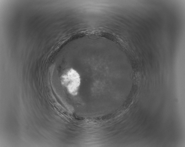 X0000078890913200611271348