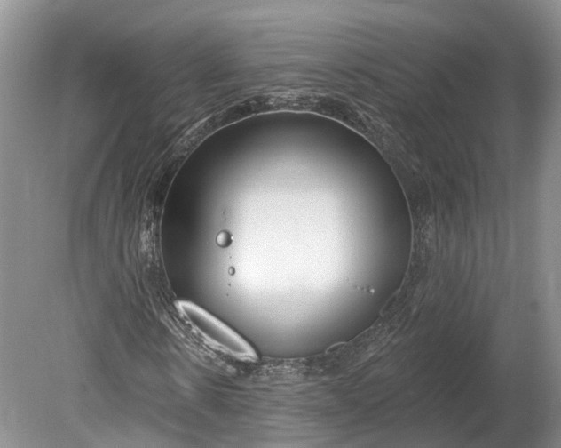 X0000078890914200611271348