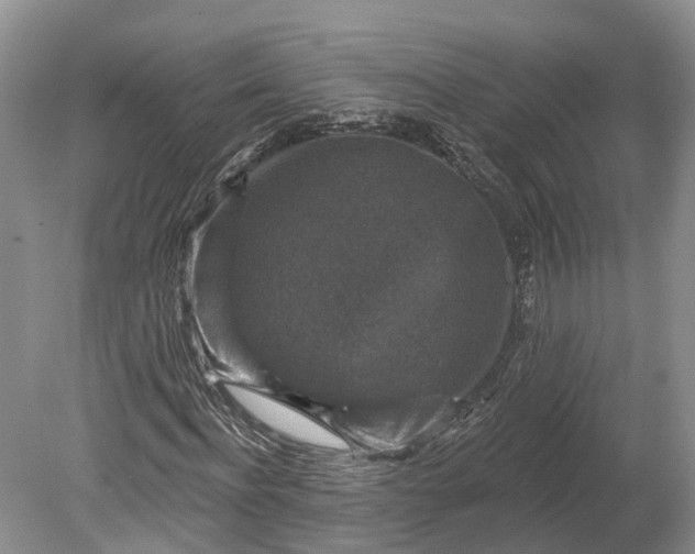 X0000078890916200611271348