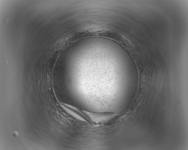 X0000078890917200611271349