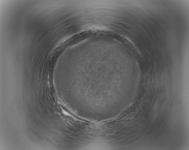 X0000078890919200611271349