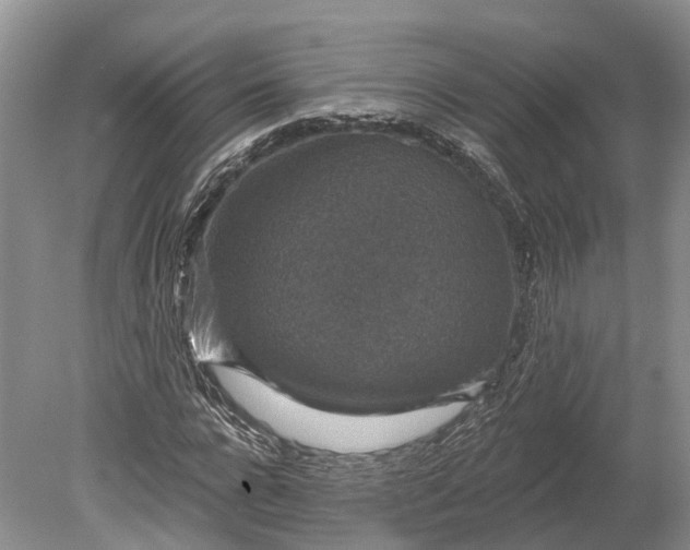 X0000078890920200611271349