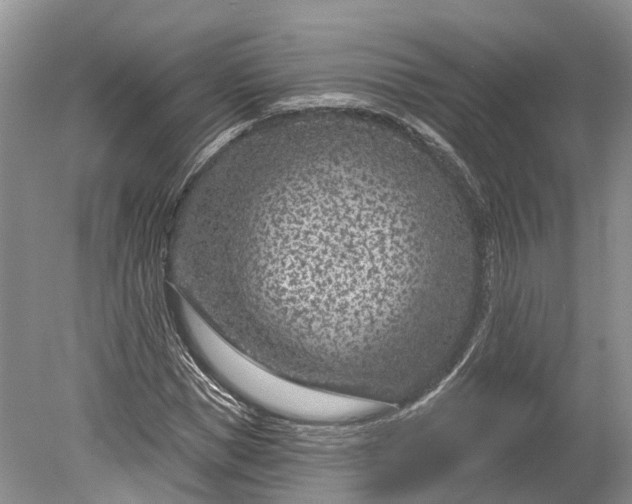 X0000078890921200611271349