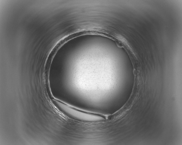 X0000078890924200611271349