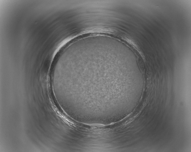 X0000078890928200611271349