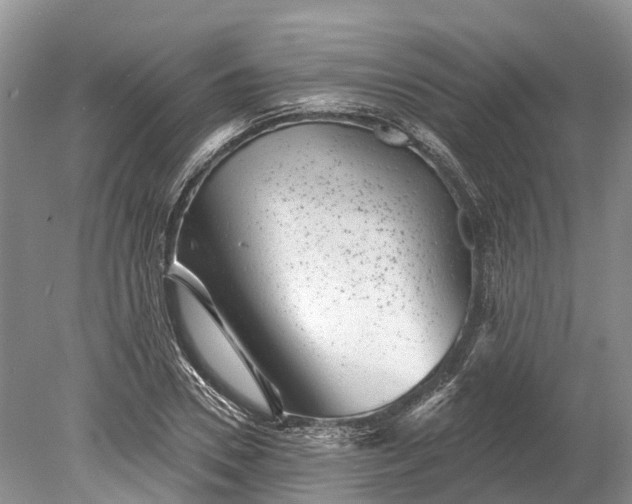 X0000078890930200611271349