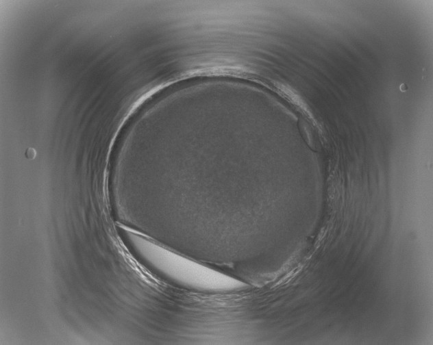 X0000078890932200611271349