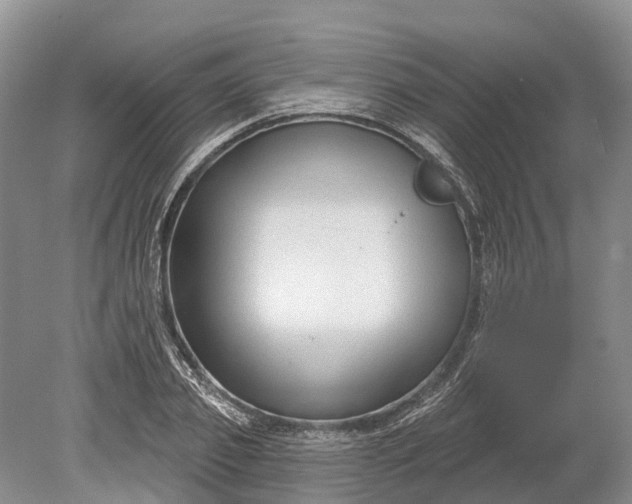 X0000078890933200611271349