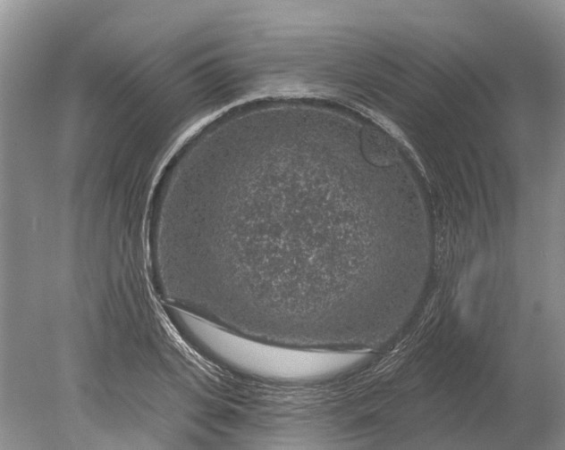 X0000078890935200611271349