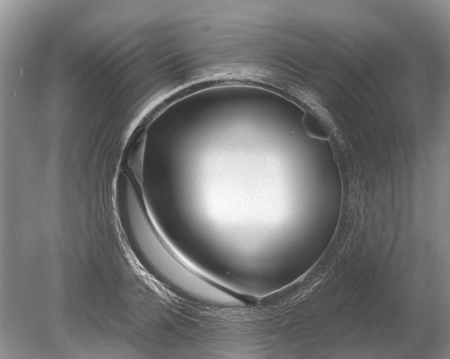 X0000078890936200611271349