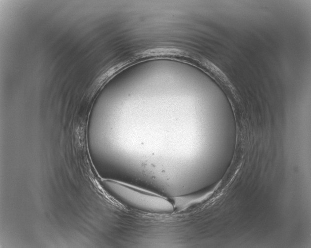 X0000078890937200611271349