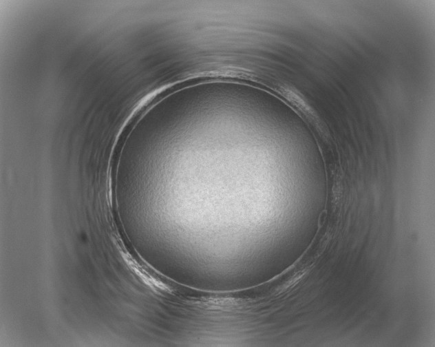 X0000078890940200611271349