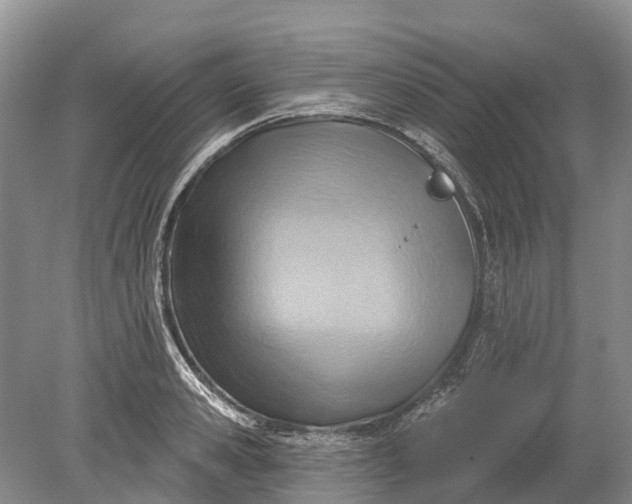 X0000078890941200611271349