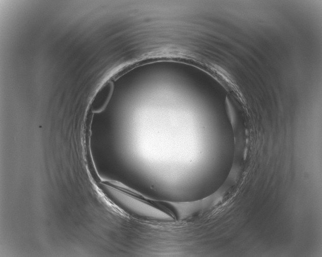 X0000078890942200611271349