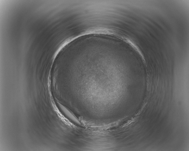 X0000078890944200611271349