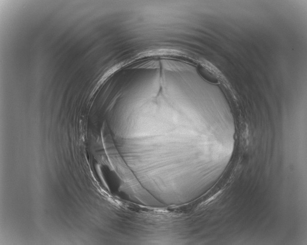 X0000078890945200611271349