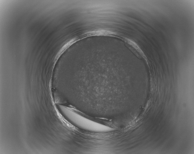 X0000078890946200611271349