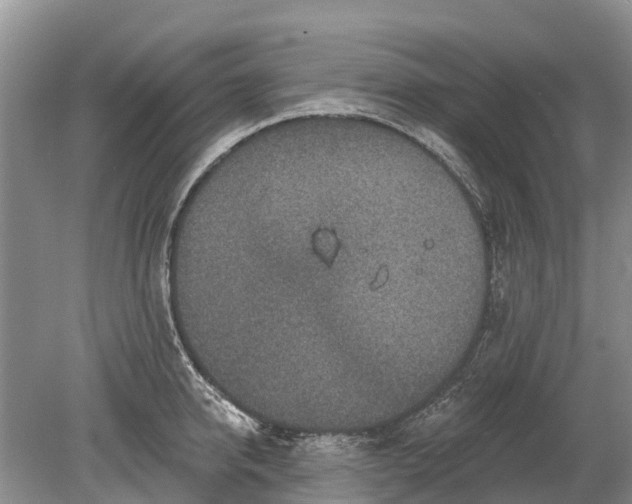 X0000078890950200611271349