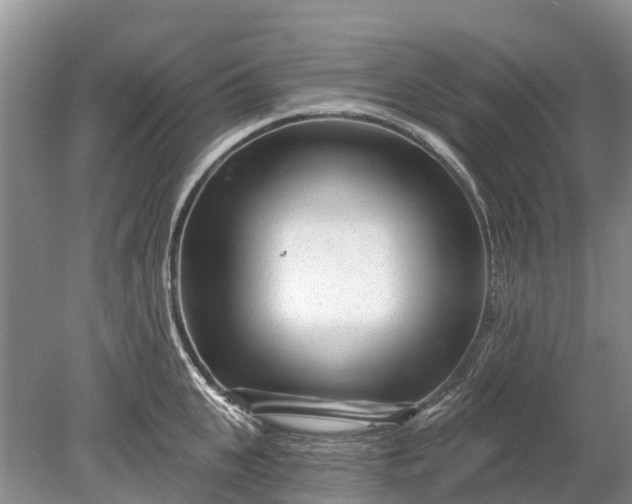 X0000078890951200611271349