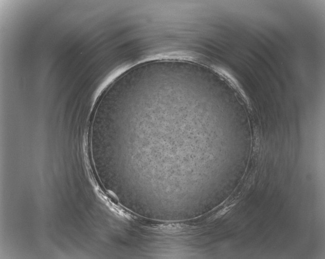 X0000078890952200611271349