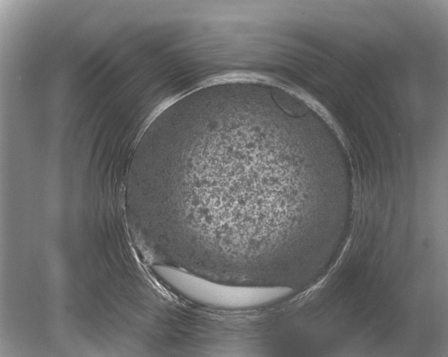 X0000078890953200611271349