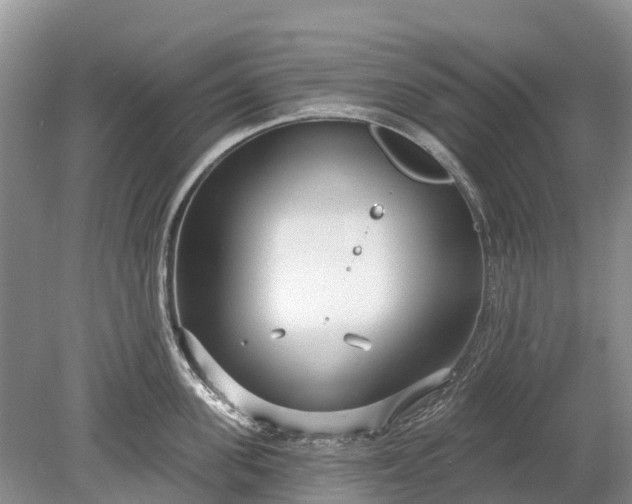 X0000078890955200611271349