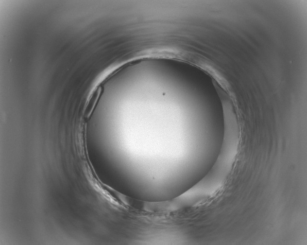 X0000078890960200611271349