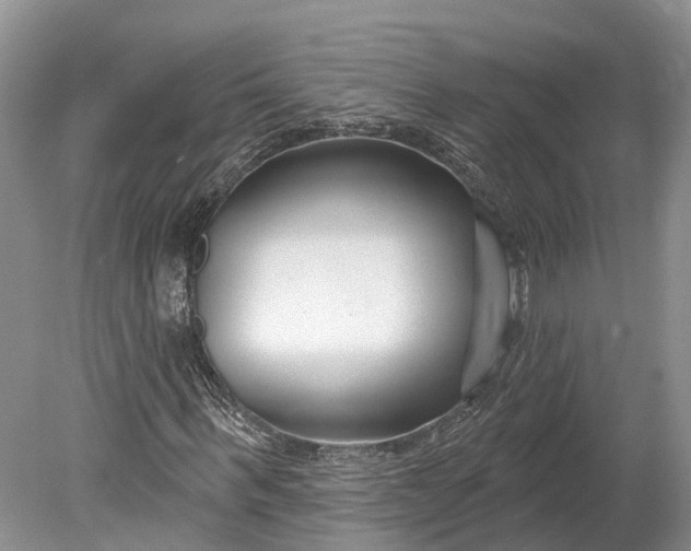 X0000078890963200611271348