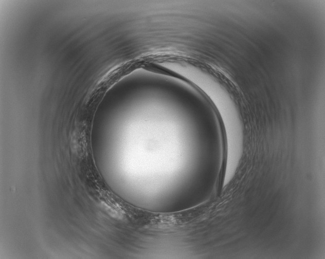 X0000078890968200611271348