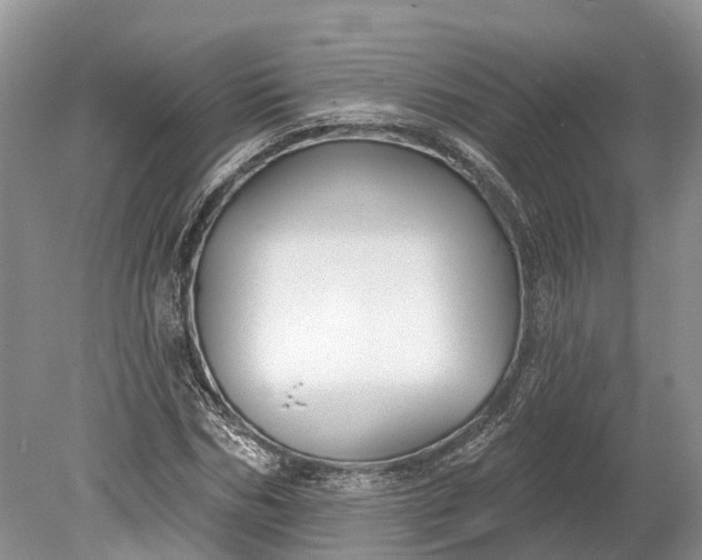 X0000078890970200611271348