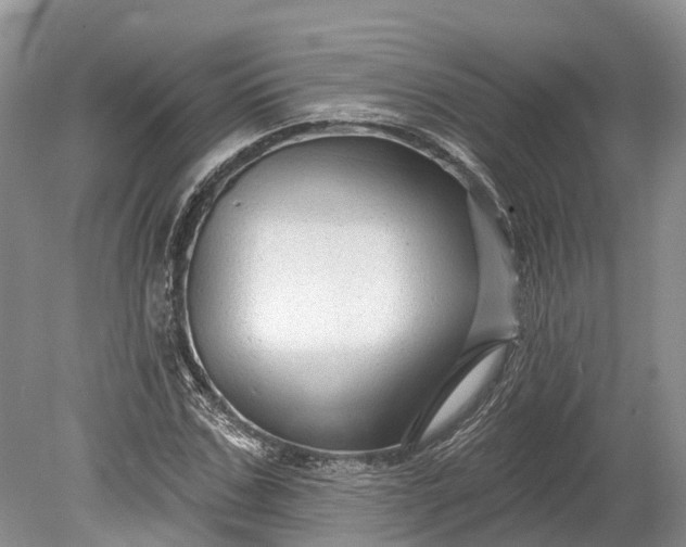 X0000078890971200611271348