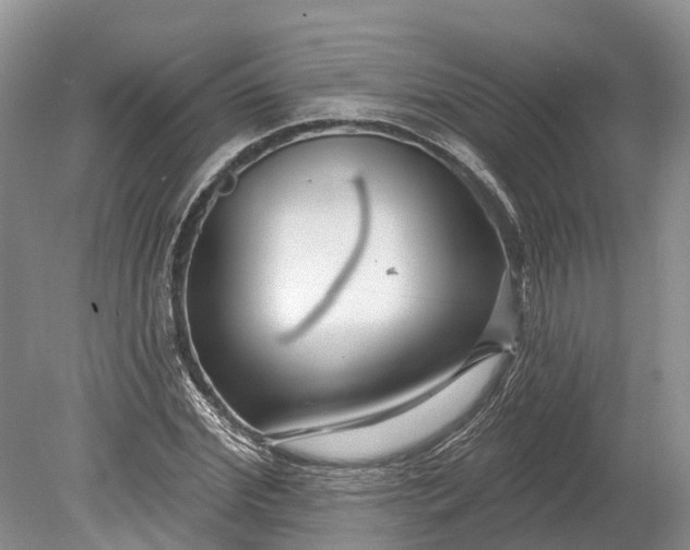 X0000078890972200611271348