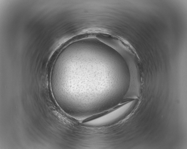 X0000078890973200611271348