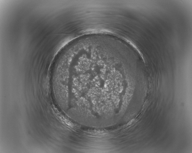 X0000078890975200611271348