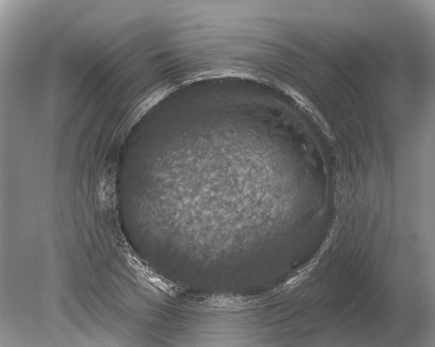 X0000078890977200611271348