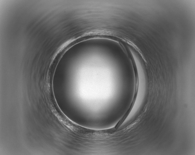 X0000078890981200611271348