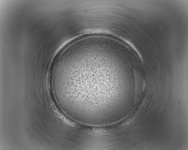 X0000078890983200611271348