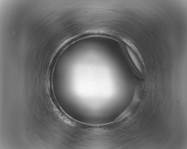 X0000078890984200611271348