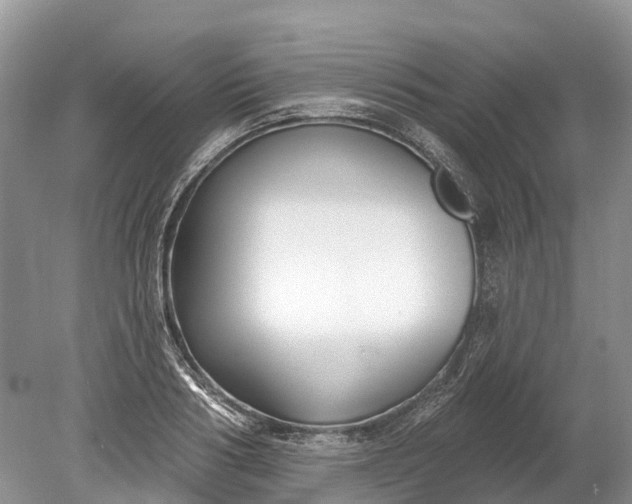 X0000078890986200611271348