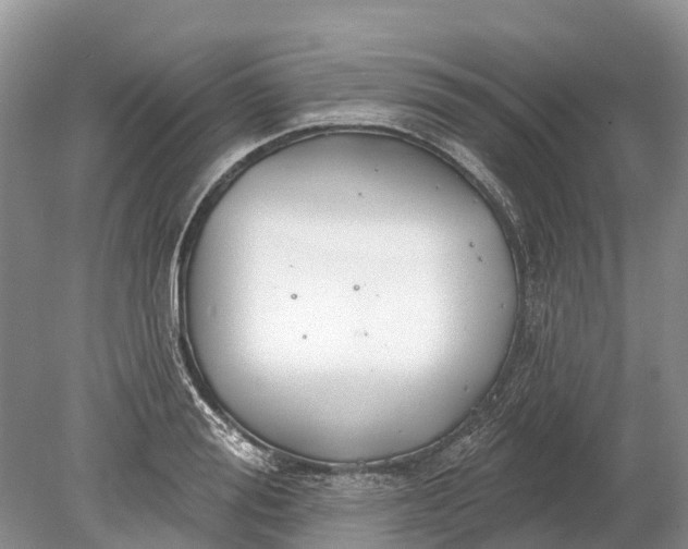 X0000078890988200611271348