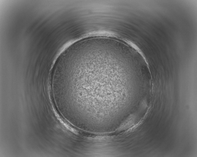 X0000078890989200611271348