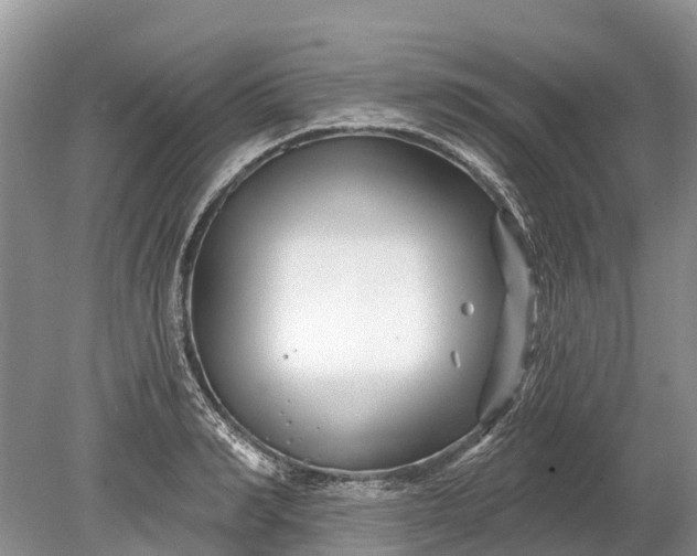 X0000078890990200611271348