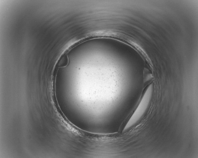 X0000078890992200611271348