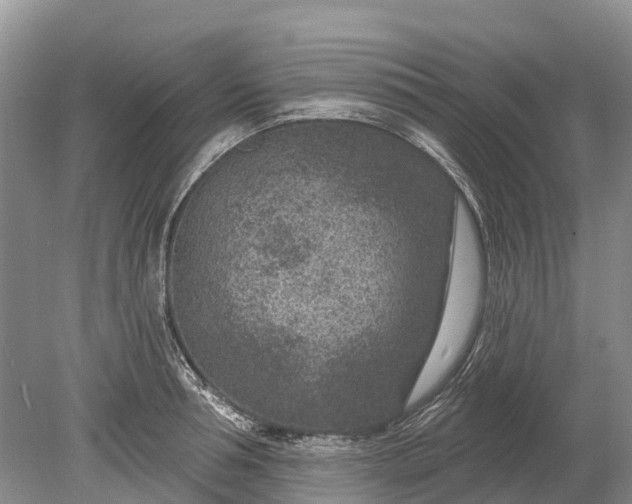 X0000078890994200611271348