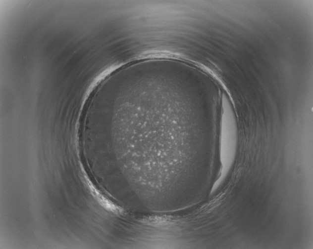 X0000078890995200611271348