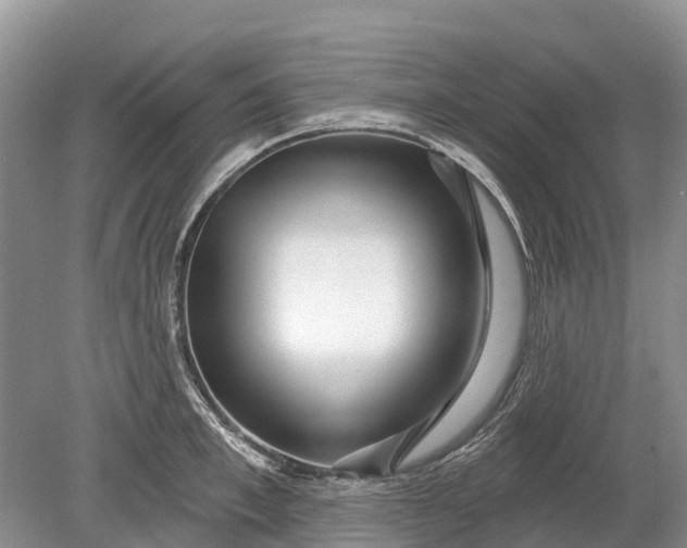 X0000078890997200611271348