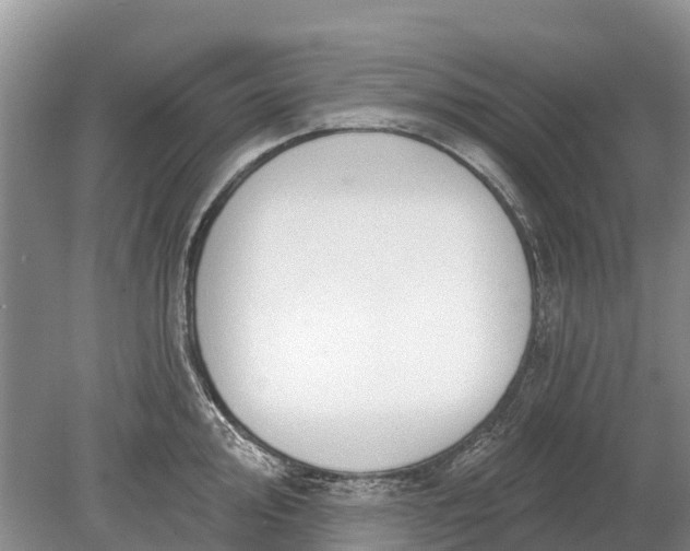 X0000078891000200611271348